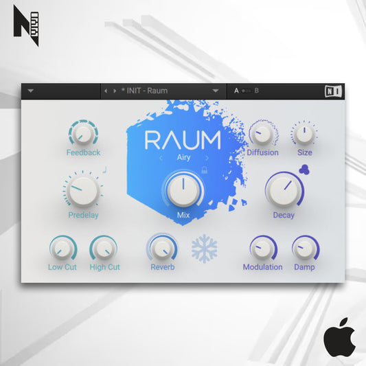 Raum Native Instruments Mac - Reverb Inteligente