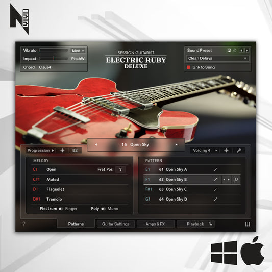 Native Instruments Session Guitarist Electric Ruby Deluxe - Livraria Kontakt