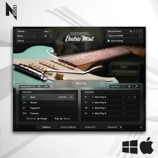 Session Guitarrist Electric Mint Native Instruments - Livraria Kontakt - COMPOZISOM